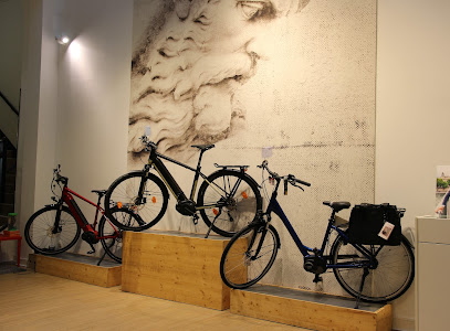 Intérieur magasin de vélos Bordeaux